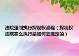 法院強制執(zhí)行探視權(quán)流程（探視權(quán)法院怎么執(zhí)行是如何去規(guī)定的）