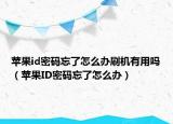蘋果id密碼忘了怎么辦刷機(jī)有用嗎（蘋果ID密碼忘了怎么辦）