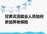 甘肅靈活就業(yè)人員如何參加養(yǎng)老保險