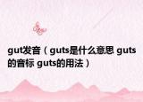 gut發(fā)音（guts是什么意思 guts的音標(biāo) guts的用法）