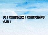 關(guān)于琥珀的過程（琥珀即生命怎么做）