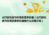 山竹的功效與作用及營養(yǎng)價值（山竹的功效與作用及營養(yǎng)價值是什么詳細介紹）