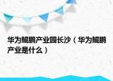 華為鯤鵬產(chǎn)業(yè)園長沙（華為鯤鵬產(chǎn)業(yè)是什么）