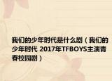 我們的少年時代是什么?。ㄎ覀兊纳倌陼r代 2017年TFBOYS主演青春校園劇）
