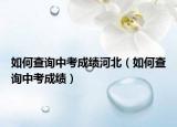 如何查詢中考成績河北（如何查詢中考成績）