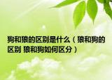 狗和狼的區(qū)別是什么（狼和狗的區(qū)別 狼和狗如何區(qū)分）