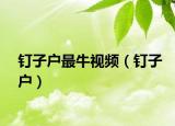 釘子戶最牛視頻（釘子戶）