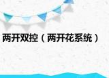 兩開雙控（兩開花系統(tǒng)）