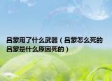 呂蒙用了什么武器（呂蒙怎么死的 呂蒙是什么原因死的）