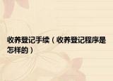 收養(yǎng)登記手續(xù)（收養(yǎng)登記程序是怎樣的）
