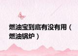 燃油寶到底有沒有用（燃油鍋爐）