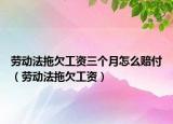 勞動法拖欠工資三個月怎么賠付（勞動法拖欠工資）