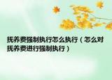 撫養(yǎng)費(fèi)強(qiáng)制執(zhí)行怎么執(zhí)行（怎么對(duì)撫養(yǎng)費(fèi)進(jìn)行強(qiáng)制執(zhí)行）