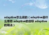 adaptive怎么讀的（adaptive是什么意思 adaptive的音標(biāo) adaptive的用法）