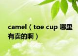 camel（toe cup 哪里有賣(mài)的啊）
