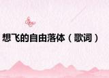 想飛的自由落體（歌詞）