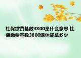 社保繳費(fèi)基數(shù)3800是什么意思 社保繳費(fèi)基數(shù)3800退休能拿多少