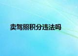 賣駕照積分違法嗎