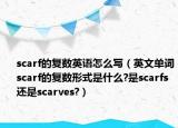 scarf的復(fù)數(shù)英語(yǔ)怎么寫（英文單詞scarf的復(fù)數(shù)形式是什么?是scarfs還是scarves?）