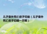 兒子意外死亡房子歸誰（兒子意外死亡房子歸哪一方呢）