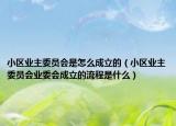 小區(qū)業(yè)主委員會(huì)是怎么成立的（小區(qū)業(yè)主委員會(huì)業(yè)委會(huì)成立的流程是什么）