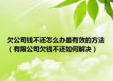欠公司錢(qián)不還怎么辦最有效的方法（有限公司欠錢(qián)不還如何解決）