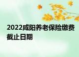 2022咸陽(yáng)養(yǎng)老保險(xiǎn)繳費(fèi)截止日期