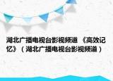 湖北廣播電視臺影視頻道 《高效記憶》（湖北廣播電視臺影視頻道）