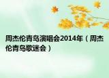 周杰倫青島演唱會(huì)2014年（周杰倫青島歌迷會(huì)）