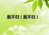 凰不歸（凰不歸）
