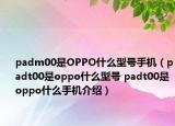 padm00是OPPO什么型號(hào)手機(jī)（padt00是oppo什么型號(hào) padt00是oppo什么手機(jī)介紹）