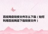 百度網(wǎng)盤(pán)鏈接文件怎么下載（如何利用百度網(wǎng)盤(pán)下載鏈接文件）
