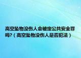 高空墜物沒(méi)傷人會(huì)被定公共安全罪嗎?（高空墜物沒(méi)傷人是否犯法）