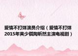 愛情不打烊演員介紹（愛情不打烊 2015年黃少祺陶昕然主演電視?。? /></span></a>
                        <h2><a href=