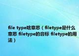 file type啥意思（filetype是什么意思 filetype的音標(biāo) filetype的用法）