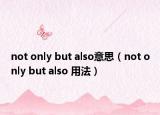 not only but also意思（not only but also 用法）