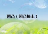 凹凸（凹凸棒土）