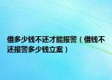借多少錢不還才能報警（借錢不還報警多少錢立案）