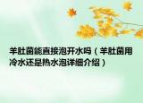 羊肚菌能直接泡開水嗎（羊肚菌用冷水還是熱水泡詳細介紹）