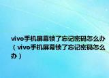 vivo手機屏幕鎖了忘記密碼怎么辦（vivo手機屏幕鎖了忘記密碼怎么辦）