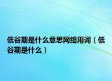 低谷期是什么意思網絡用詞（低谷期是什么）