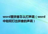 word里拼音怎么打聲調(diào)（word中如何打出拼音的聲調(diào)）