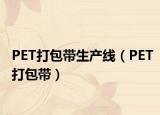 PET打包帶生產(chǎn)線（PET打包帶）