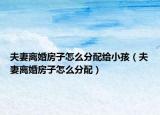 夫妻離婚房子怎么分配給小孩（夫妻離婚房子怎么分配）