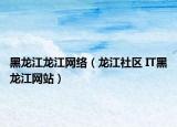黑龍江龍江網(wǎng)絡(luò)（龍江社區(qū) IT黑龍江網(wǎng)站）