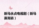 新馬永貞電視?。ㄐ埋R賽克磚）