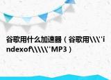 谷歌用什么加速器（谷歌用\