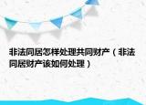 非法同居怎樣處理共同財產(chǎn)（非法同居財產(chǎn)該如何處理）