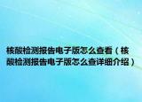 核酸檢測(cè)報(bào)告電子版怎么查看（核酸檢測(cè)報(bào)告電子版怎么查詳細(xì)介紹）