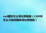 cad圖形怎么等比例縮放（CAD中怎么才能將圖案等比例縮放）